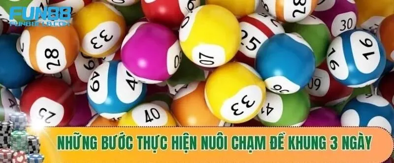 Cách nuôi chạm đề khung 3 ngày chuẩn nhất